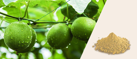 Monk Fruit Extract