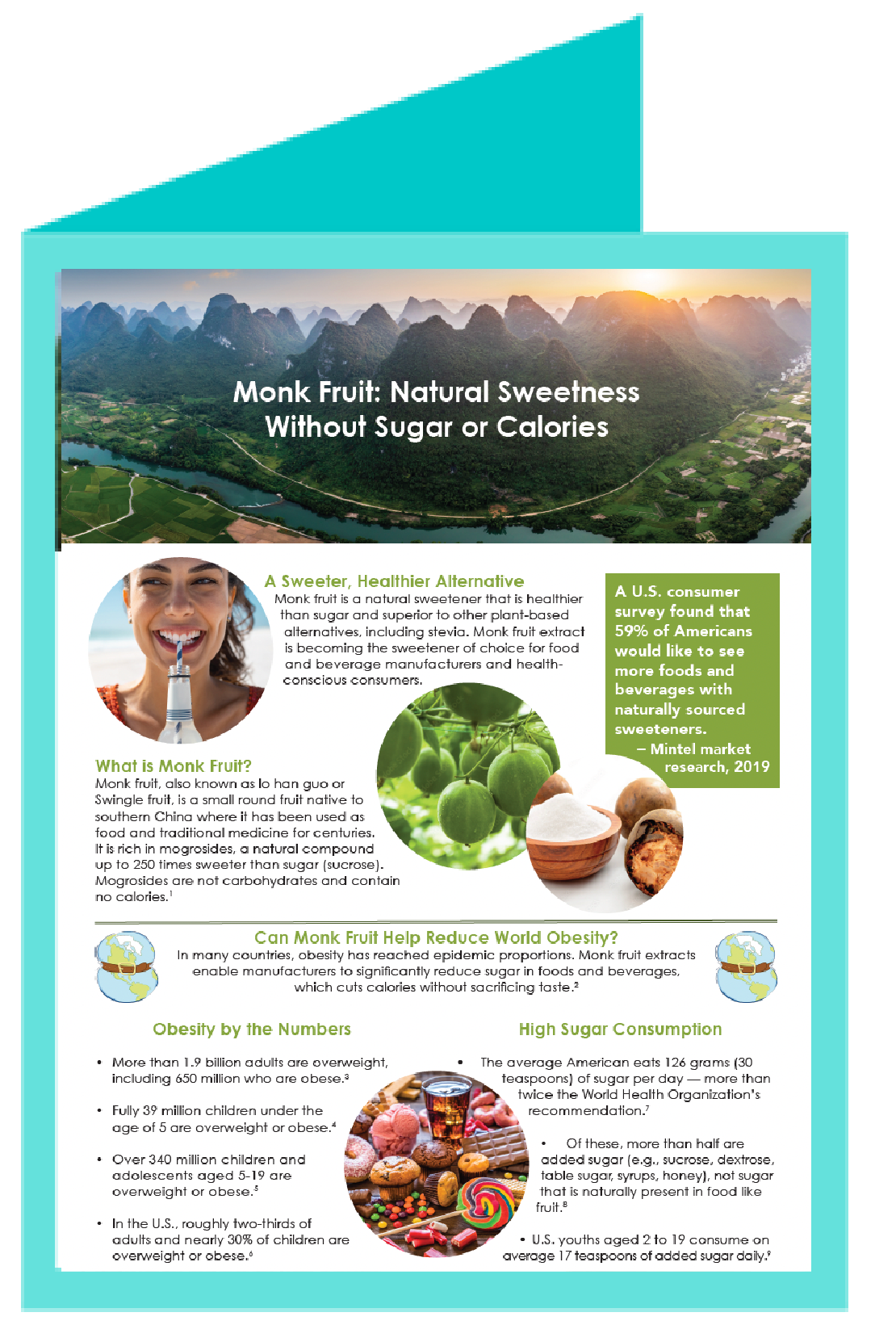 Monk Fruit Extract Powder A Product Of NATCO, Inc.