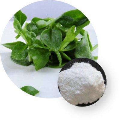 Natco Healthy Living Andrographis Paniculata Extract