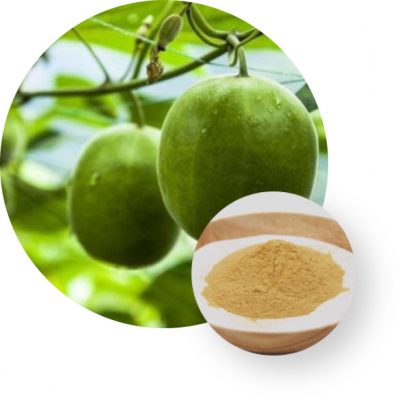 Natco Healthy Living Monk Fruit Extract