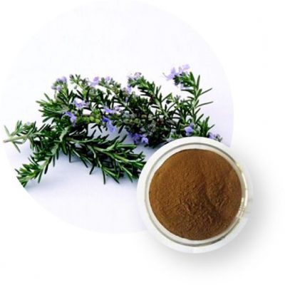 Natco Healthy Living Rosemary Extract